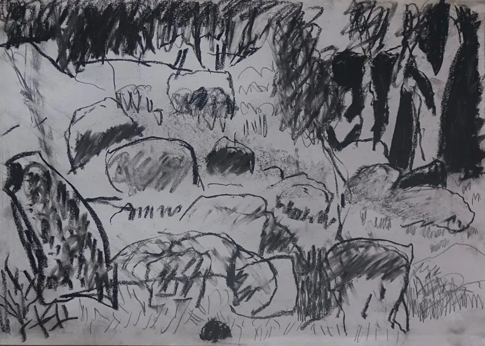 Steadfast movement Charcoal & graphite on paper by artist Sally Stokes