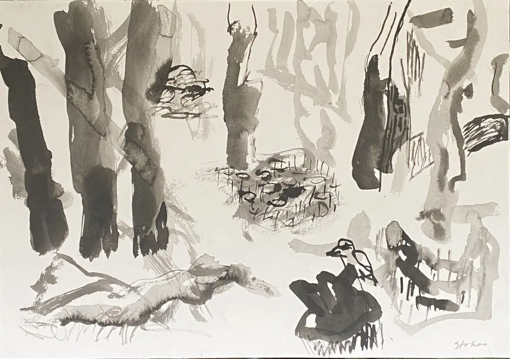 Bird in mangroves  ink on paper by artist Sally Stokes
