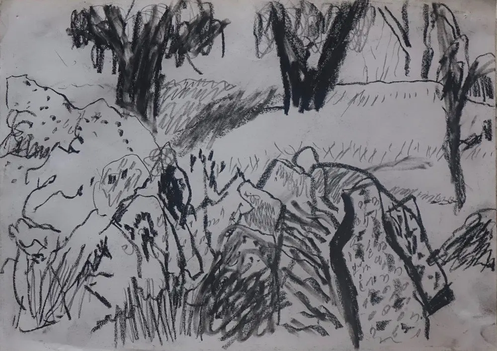 Midday  Charcoal & graphite on paper by artist Sally Stokes