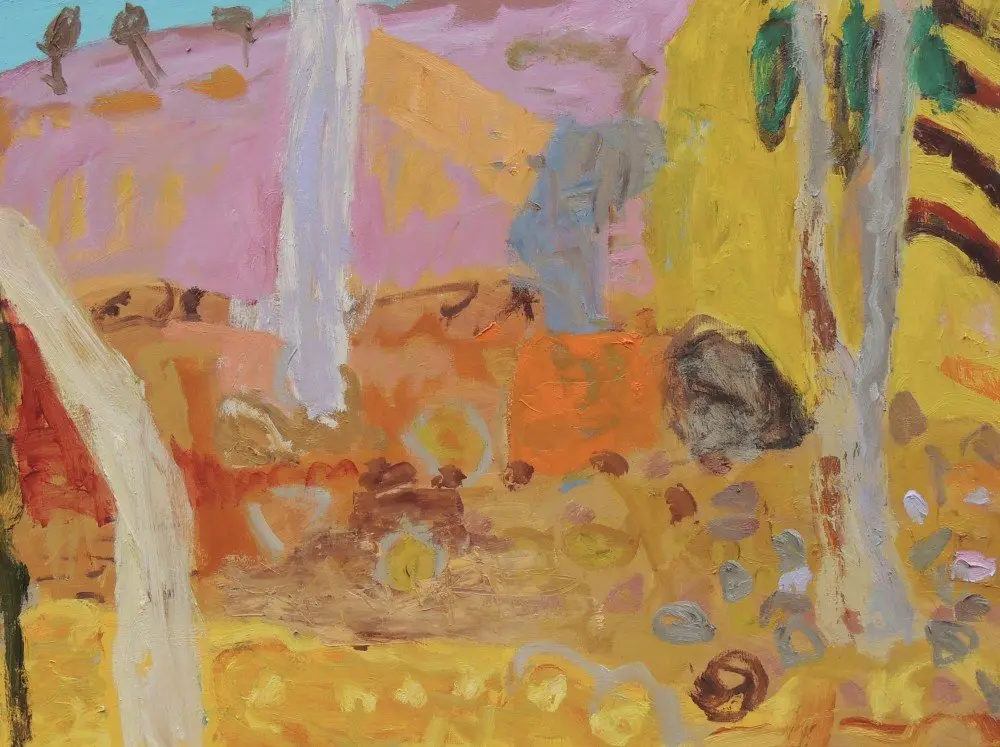 Fowler's Gap oil on linen by artist Sally Stokes