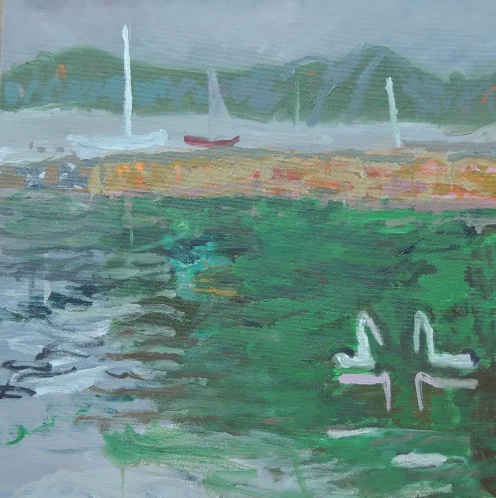 Pelicans 2 acrylic on canvas by artist Sally Stokes