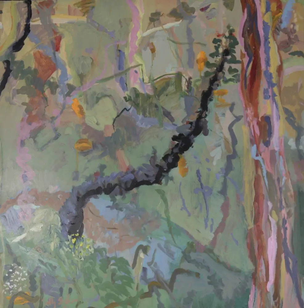 Banksia (Hawkesbury Regional gallery) oil on board by artist Sally Stokes